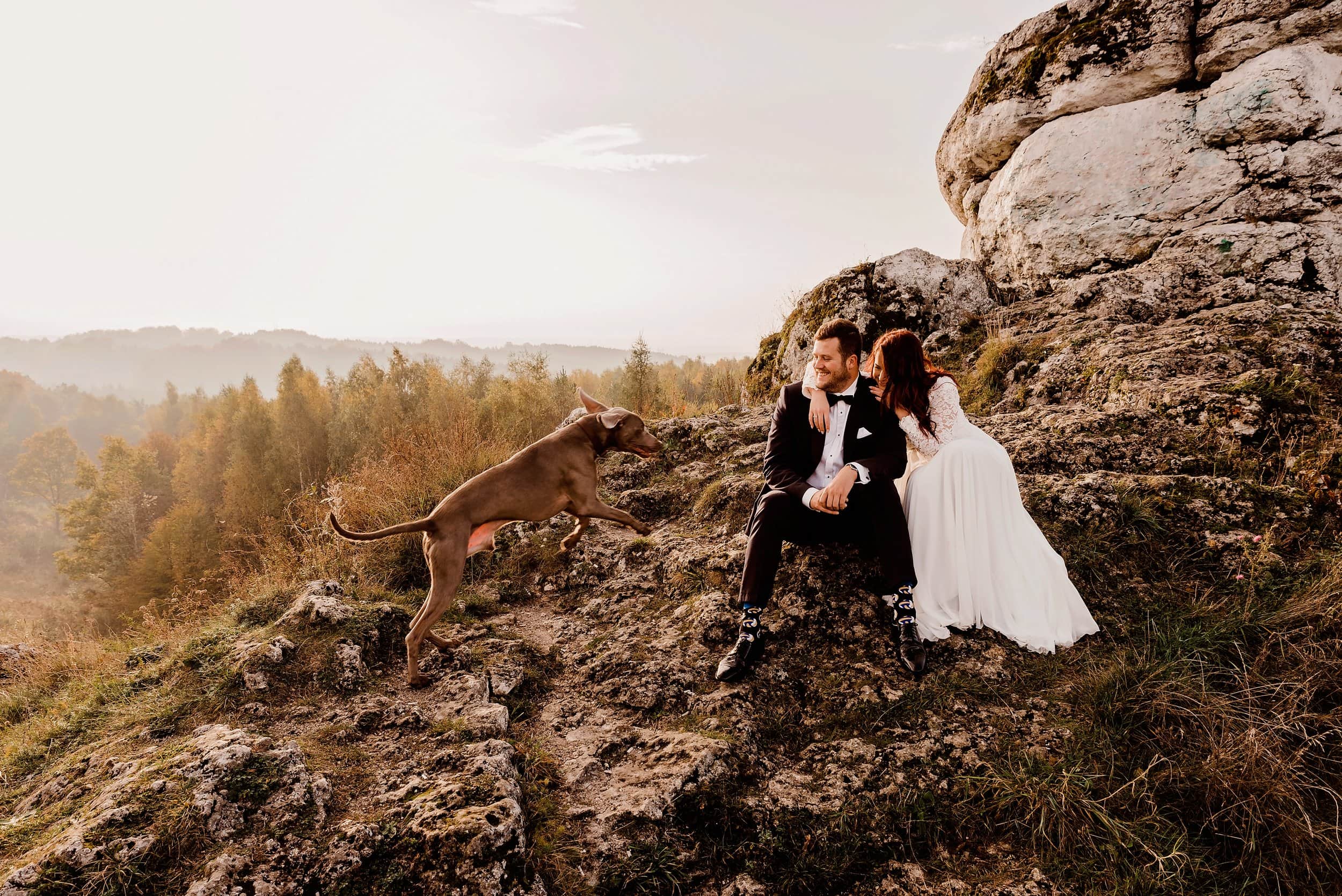 jesienna sesja poślubna z psem