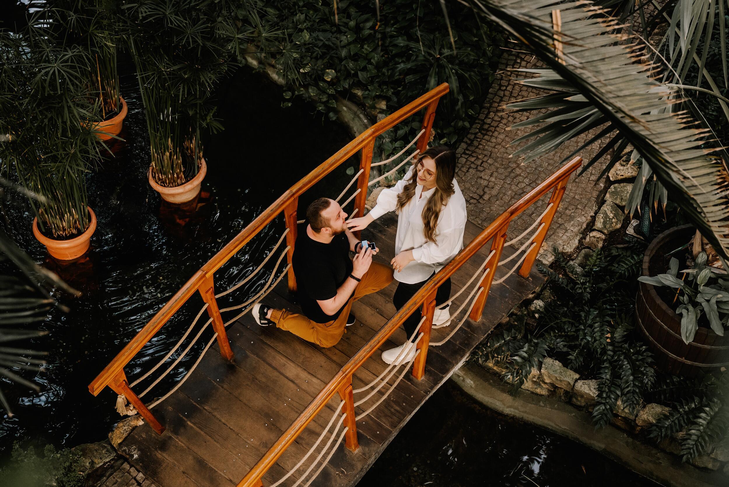 Sesja zaręczynowa w Palmiarni – zdjęcia z zaręczyn